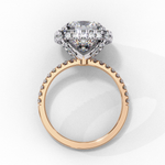 Load image into Gallery viewer, Cushion Cut Lab Grown Diamond Engagement Ring With Double Halo
