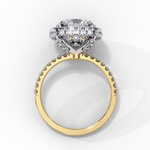 Load image into Gallery viewer, Cushion Cut Lab Grown Diamond Engagement Ring With Double Halo
